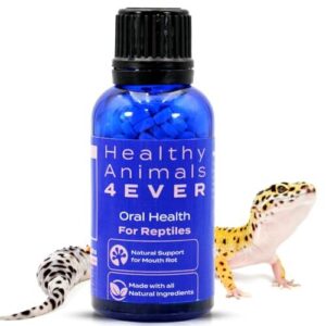 HA4E   Reptile Oral Health B0DFMQGHKF