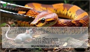 handling and presenting food to the snake
