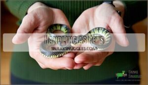 handling as pets