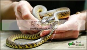health checks