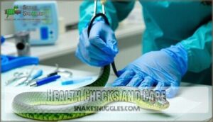 health checks and care