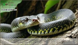 healthy shedding patterns