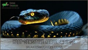 heat-sensitive nerve endings