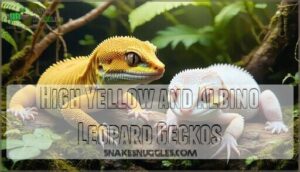 high yellow and albino leopard geckos