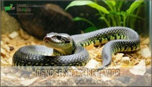 hognose snake behavior