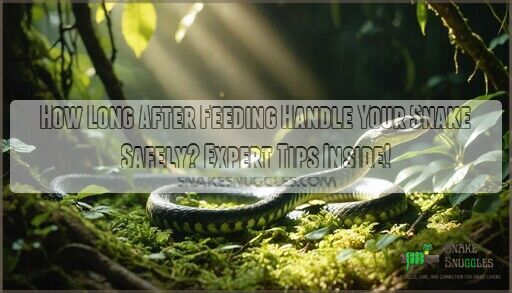 How Long After Feeding Handle Your Snake Safely? Expert Tips Inside!