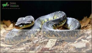 how long can a ball python go without heat