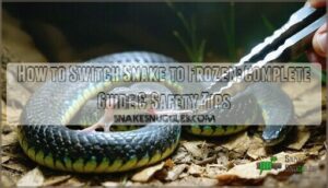how to switch snake to frozen
