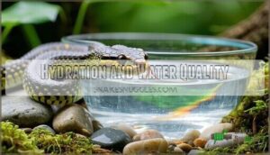 hydration and water quality