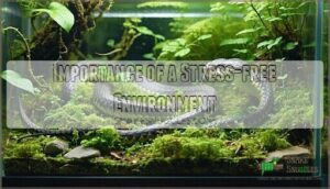 importance of a stress-free environment