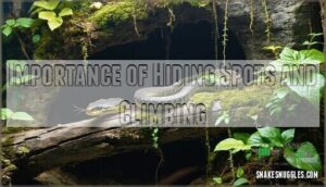 importance of hiding spots and climbing