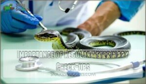 importance of regular veterinary check-ups