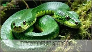 importance of shedding importance of shedding
