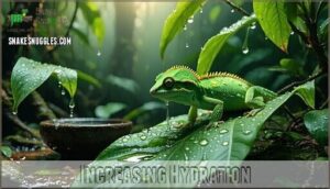 increasing hydration