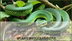 insects and other invertebrates as prey