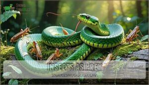 insects as prey