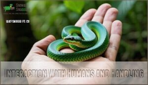 interaction with humans and handling