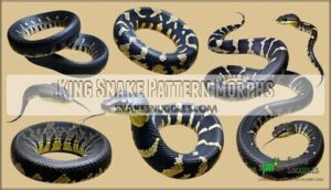 king snake pattern morphs