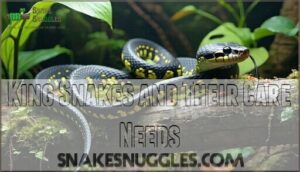king snakes and their care needs