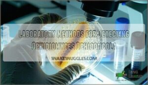 laboratory methods for detecting ophidiomyces ophiodiicola