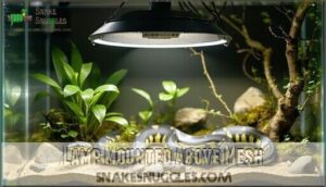 lamp mounted above mesh