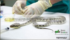 managing impacted snake care