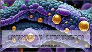 microscopy and proteomic studies