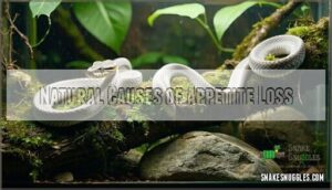 natural causes of appetite loss
