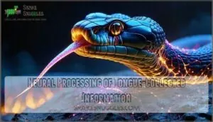 neural processing of tongue-collected information neural processing of tongue-collected information