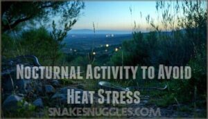 nocturnal activity to avoid heat stress