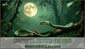 nocturnal hunting behavior