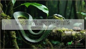nocturnal hunting habits