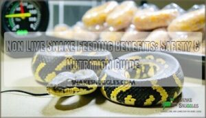 non live snake feeding benefits