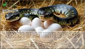 number of clutches and eggs per clutch number of clutches and eggs per clutch