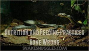 nutrition and feeding practices gone wrong