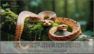 nutritional needs and health
