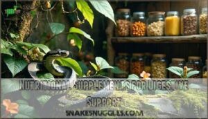 nutritional supplements for digestive support
