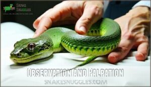 observation and palpation