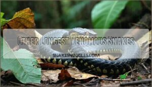 other longest venomous snakes