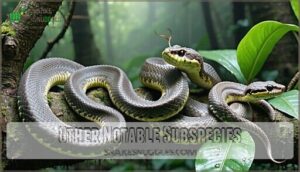 other notable subspecies