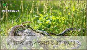 other snake species in grasslands