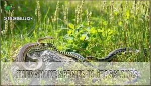 other snake species in grasslands other snake species in grasslands
