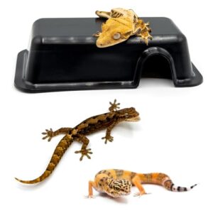 Pangea Reptile Hide Box (A B00UCDIBMO