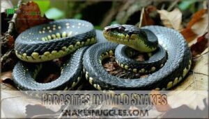 parasites in wild snakes