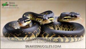 pattern morphs