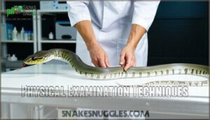 physical examination techniques