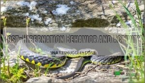post-hibernation behavior and activity