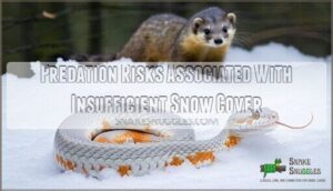 predation risks associated with insufficient snow cover