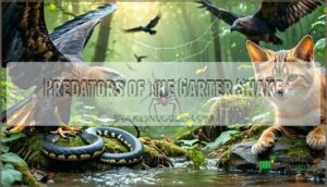 predators of the garter snake