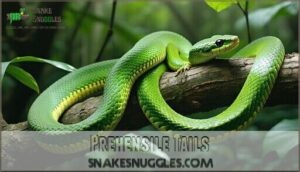 prehensile tails
